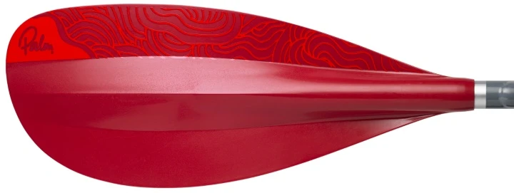 Palm Colt – Bild 3