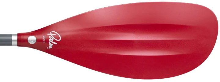 Palm Colt – Bild 2